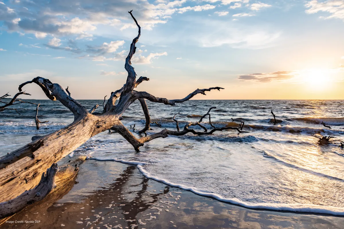 a-local-s-guide-to-exploring-jacksonville-fl-like-a-tourist